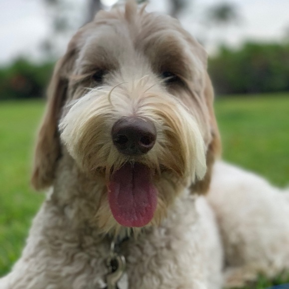 Meet your Posher, Karen - Picture 1 of 1